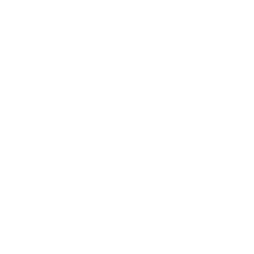 Open Web Application Security Project