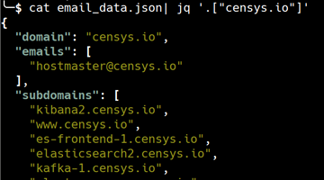 Censys Enumeration