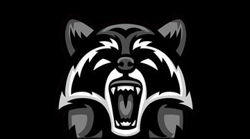 Raccoon