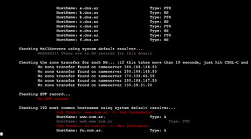 Domain Analyzer