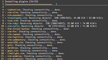 vim-plug