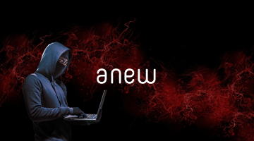 anew
